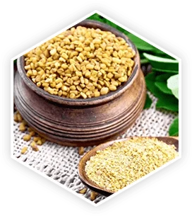 Fenugreek seeds